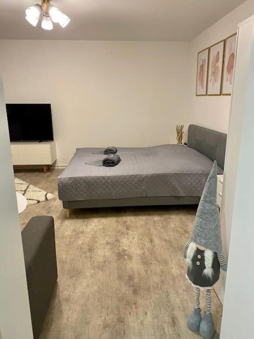 Stilvolle Ferienwohnung Mit Stellplatz Wlan Free Netflix Naehe Bahnhof Zwickau Luaran gambar